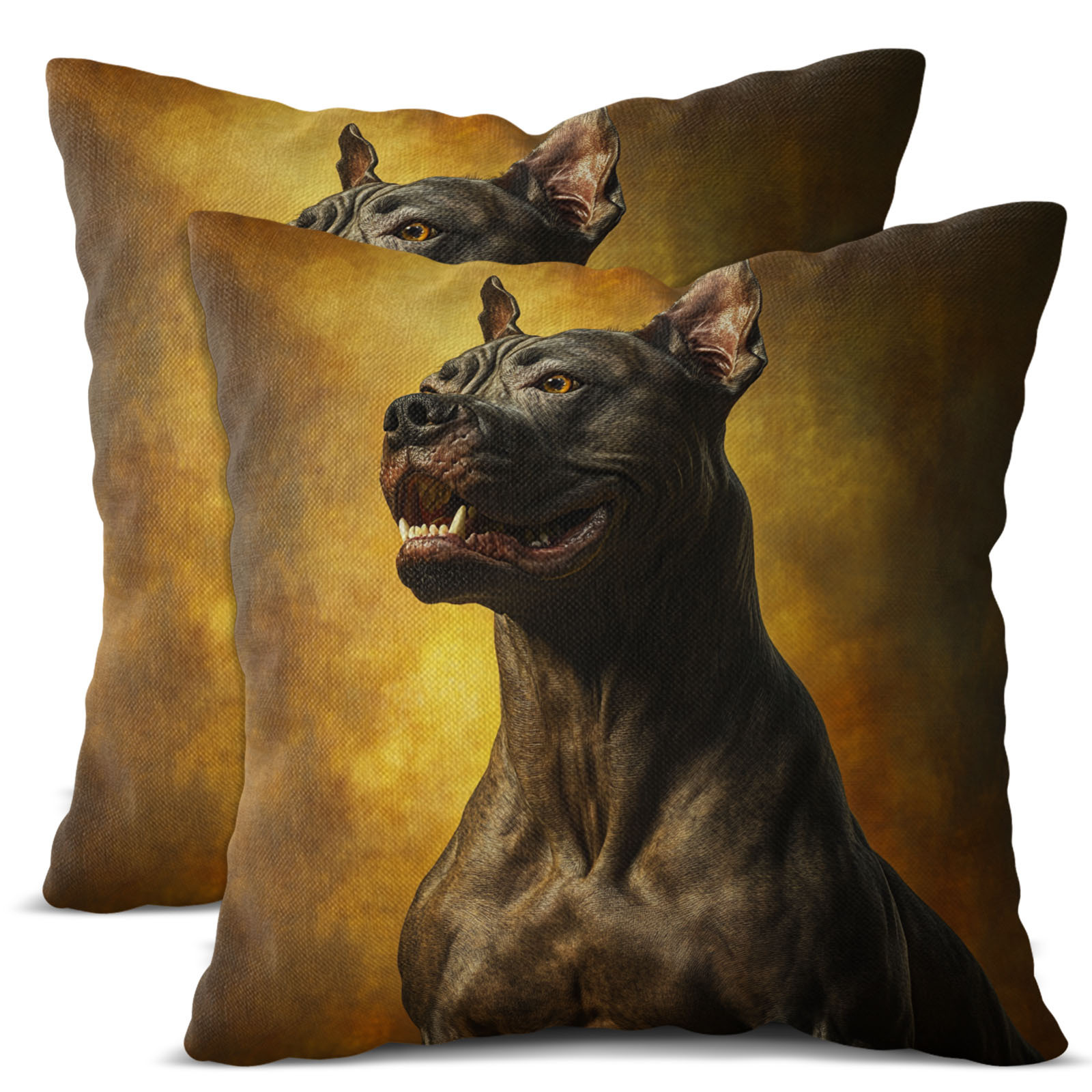 piezas fundas cojín terrier diseño perro Temu Ecuador