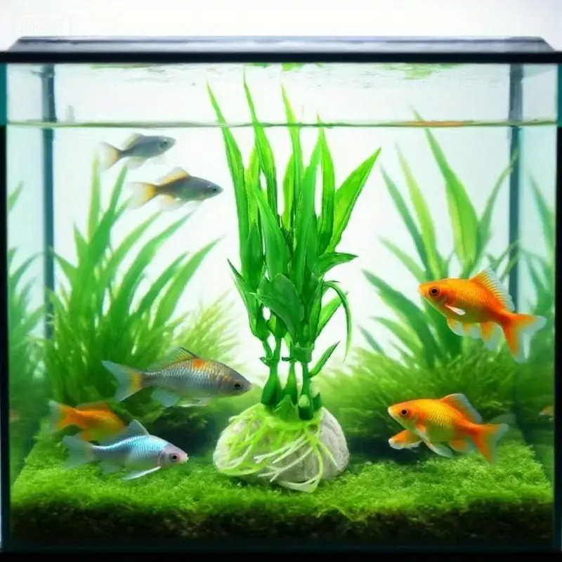 fish tank grass accessories POPETPOP 10pcs Aquarium Plant Decor Lifelike Plastic Decorations for All Fish Aquatic Landscape Vibrant and Chic Design for Aquariums : Pet Supplies Choose one and light up your fish tank now Shop Live Healthy Aquatic Plants