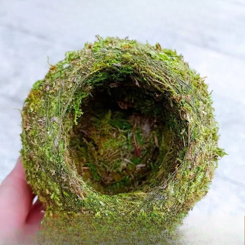 TEMU 2026 New 5-pack Moss Planters, Moss Ball, , Creative Single-day Decor Planters For Home Garden Decor