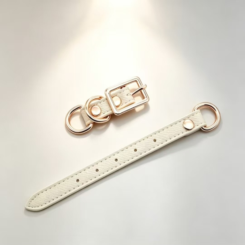 Pet Collar DIY Accessories for Customization