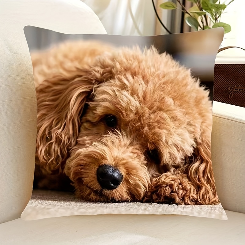 TEMU 1pc Cute Print Pillowcase, Soft And Comfortable Polyester Short Plush Fabric, Single-sided Print, Pillow Insert Not Included, 17.7*17.7 Inches,