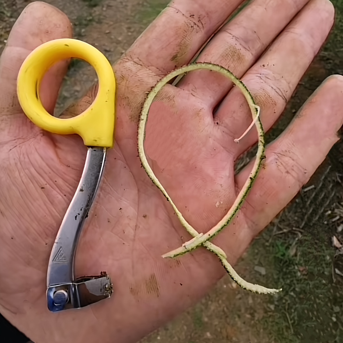 high quality gardening grafting tool set 2pcs set suitable for   and     stainless steel pruning shears and a cincin cutter suitable for   beginners and  