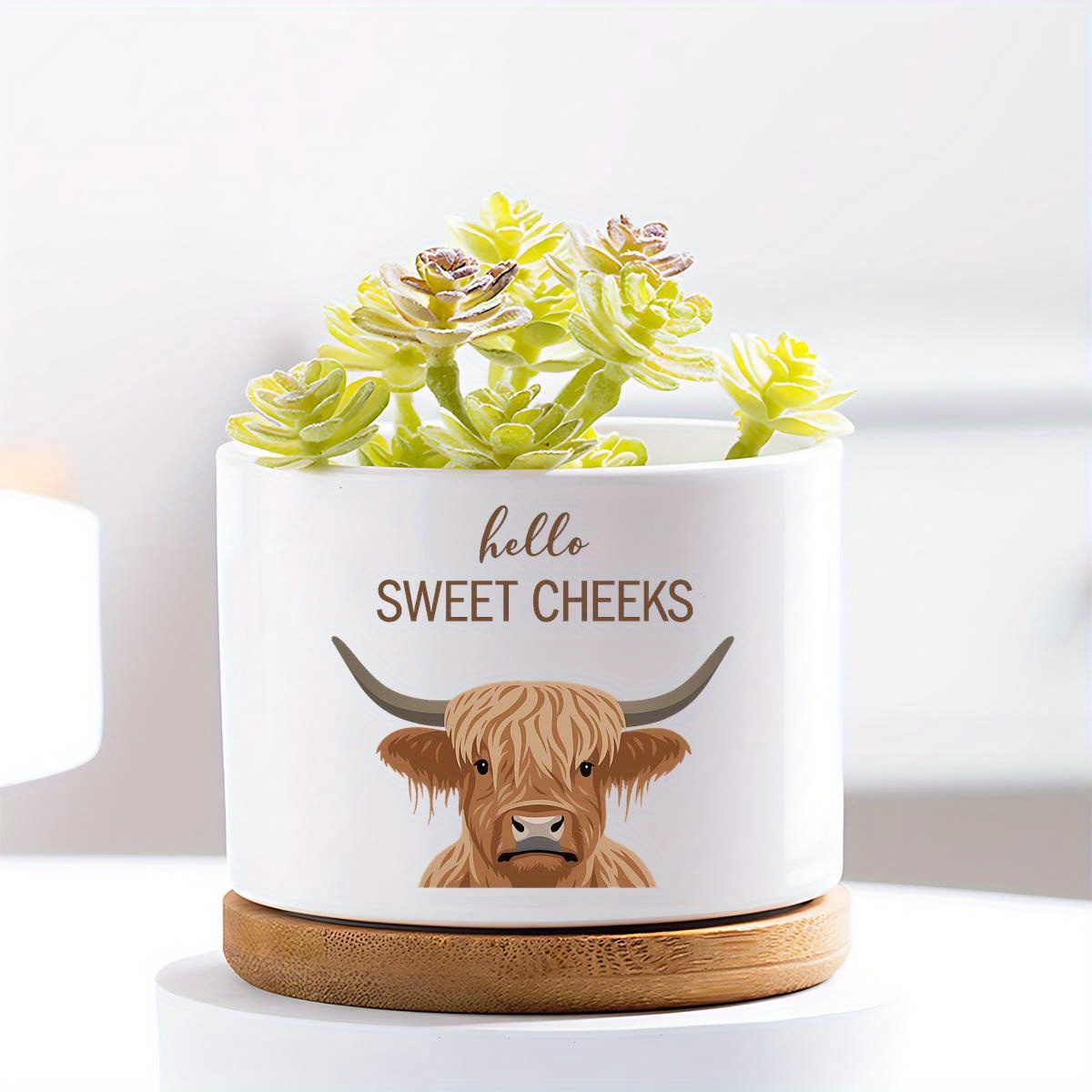 TEMU Garden Vase Highland Cow Planter - Hello Sweet Cheeks Decorative Planter, Rustic Western Highland Cow Design, Indoor And Outdoor Plants, Ideal