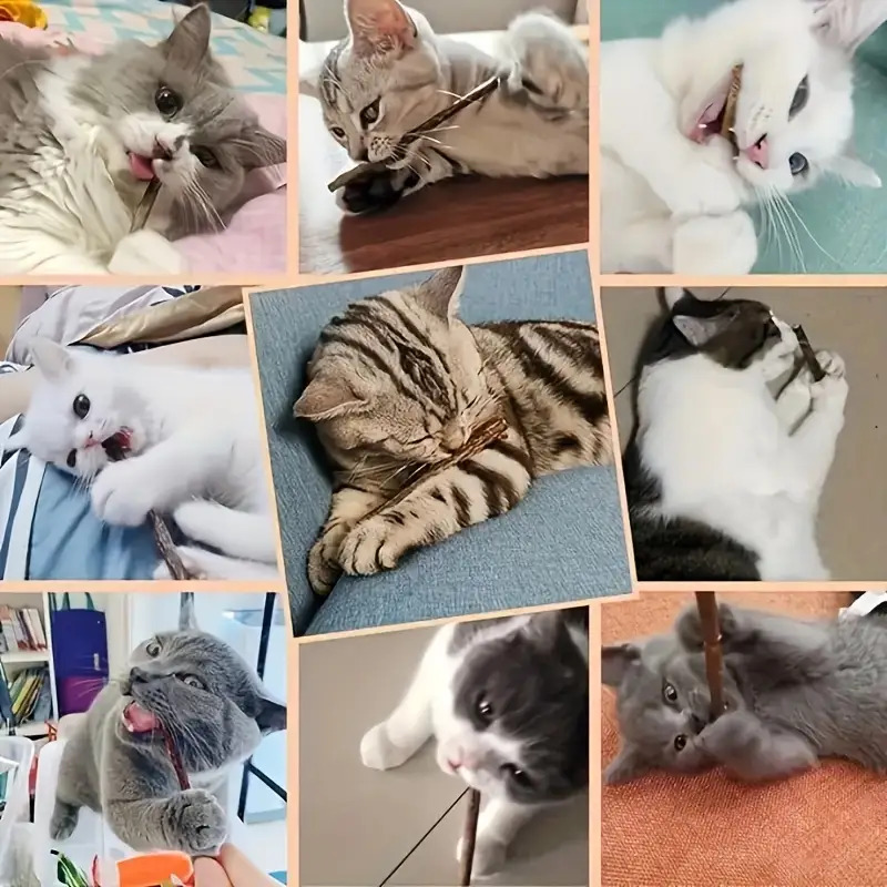 Ensemble de 40 pièces Chat Morsure - Jouet de santé dentaire et de relaxation avec parfum frais, Sûr et non toxique, Aucune pile requise, Convient aux jeux d'intérieur et aux cadeaux apaisants pour multi-chat