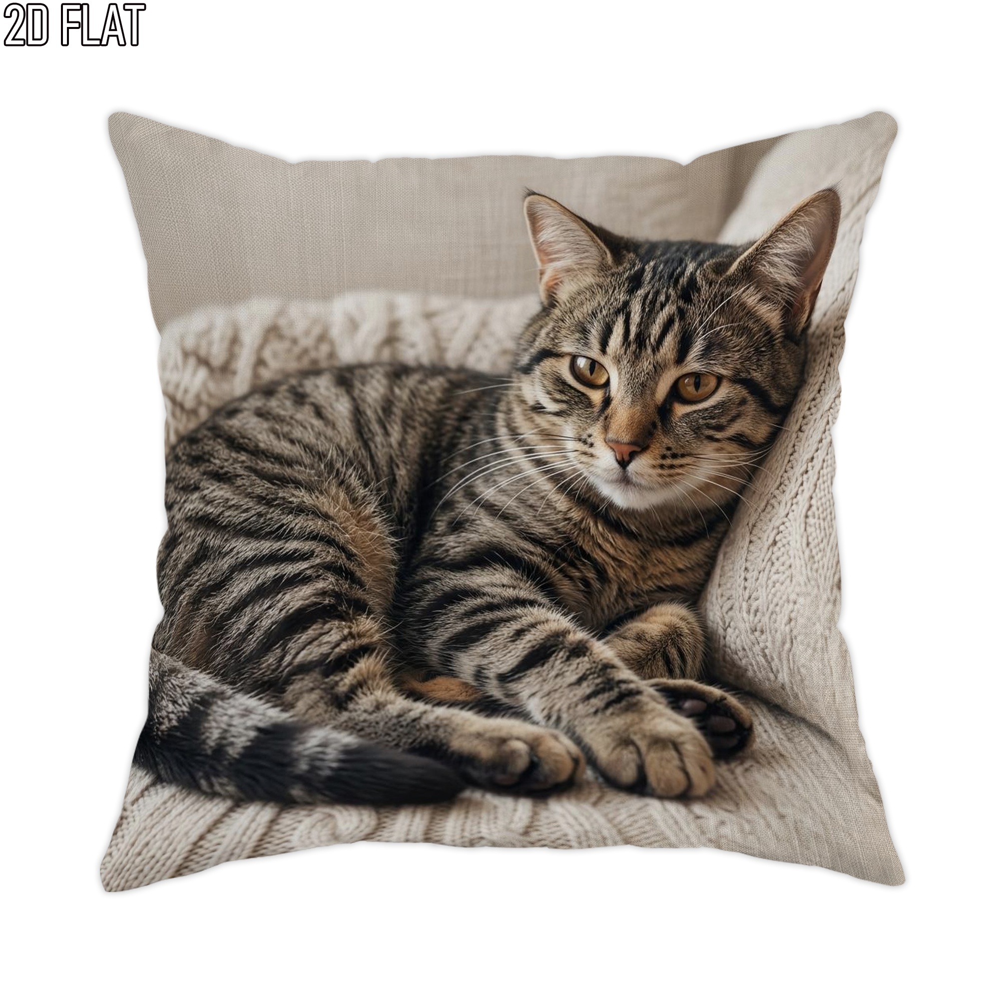 TEMU 2d Flat Cat Comfortable Cute Pillowcase, Beige Brown Decorative Pillowcase, Single-sided Print, Suitable For Living Room, Bedroom, Sofa, And Bed