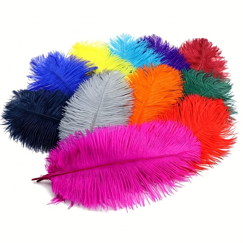 20pcs Turkey Marabou Feathers Fluffy Plume Crafts Fake Handicraft  Decorations