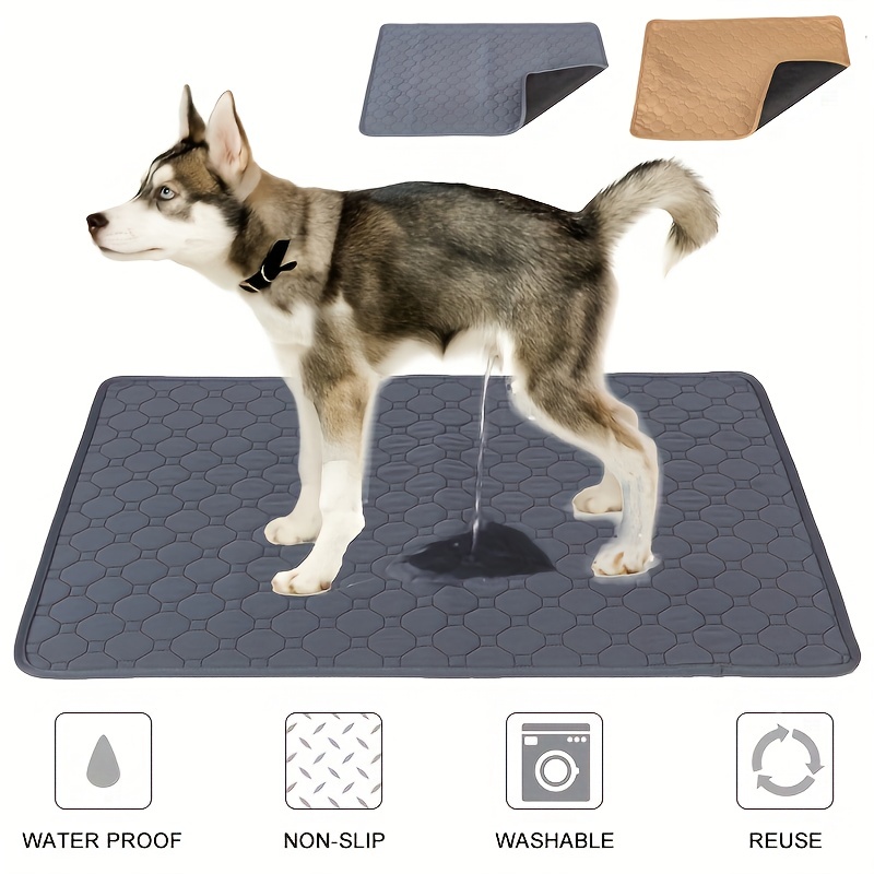 Washable Dog Mat Easy to Clean Pet Muddy Paws Rug Absorbent Dogs Diapers  Pads #