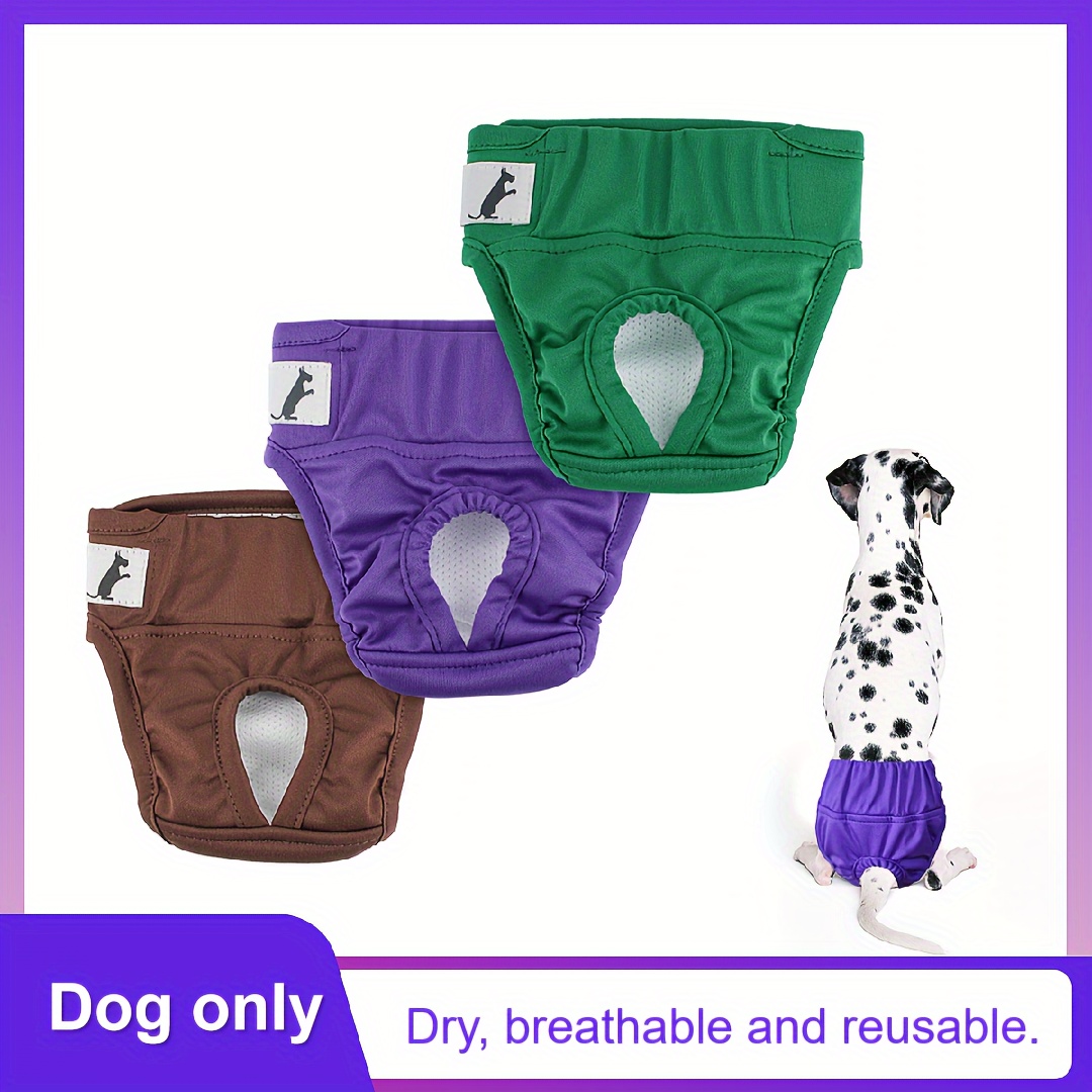 Comprar Pantalones menstruales para mascotas, cómodos pañales para perros a  prueba de fugas, patrón de flores, pantalones fisiológicos para mascotas,  suministros para mascotas