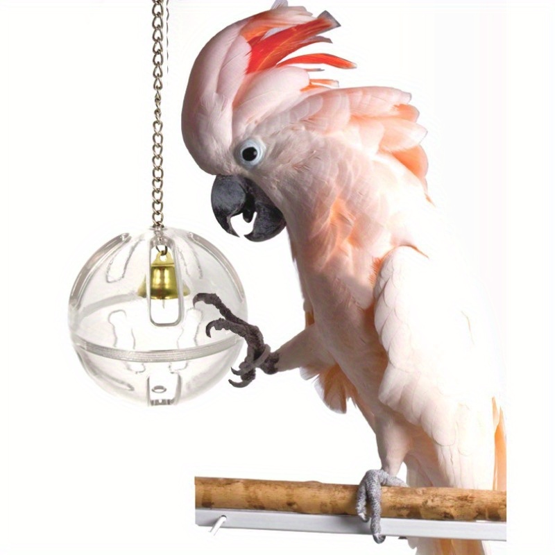 Pendulum 2024 bird toy