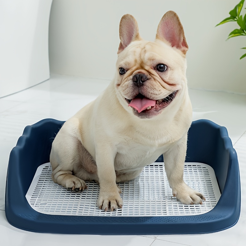 Tapete entrenador para perro Pet Toilet 1 juego de 3 pzas