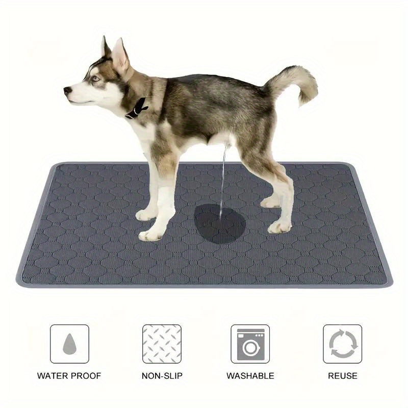 Kmart dog outlet training pads