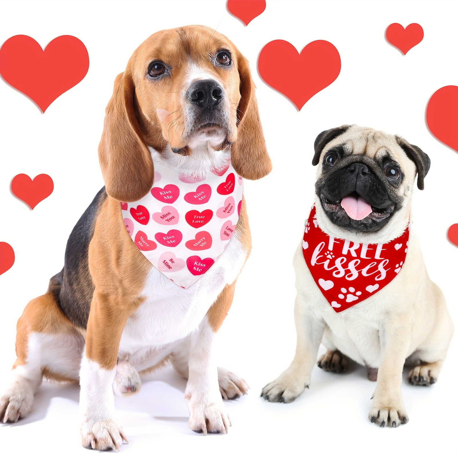 Valentines Day Ready Adorable Pet Red Heart Embroidered Mesh Tutu