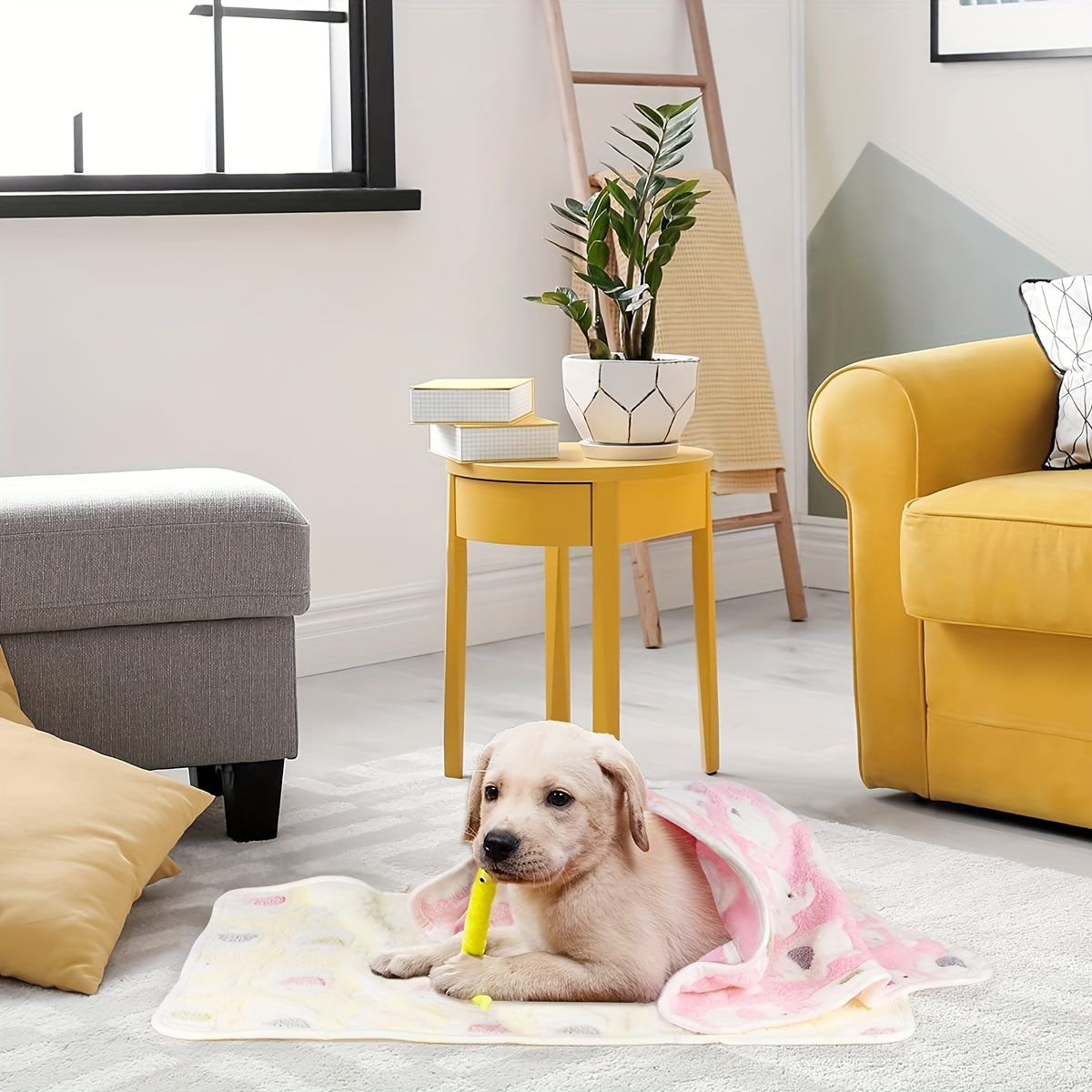 PetAmi Manta impermeable para perro, manta XL a prueba de fugas para perros  grandes, protector de muebles y sofá, manta de vellón para cama o jaula