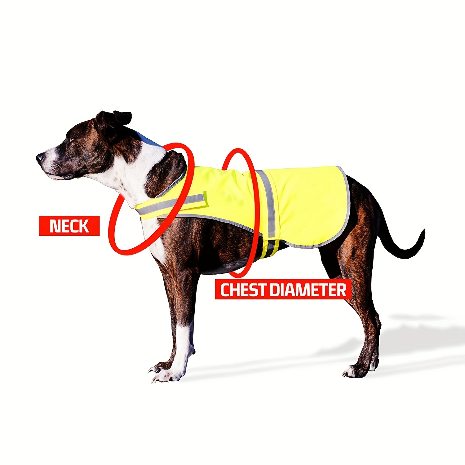 Dog security vest sale