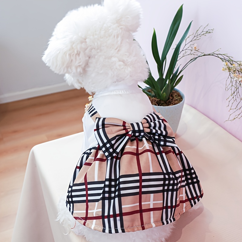 College Style Cute Cat Clothes Girl Small Dog Skirt Pet Clothing Winter Cat  Dress Puppy Clothing Cat Dresses Princess Dress - AliExpress