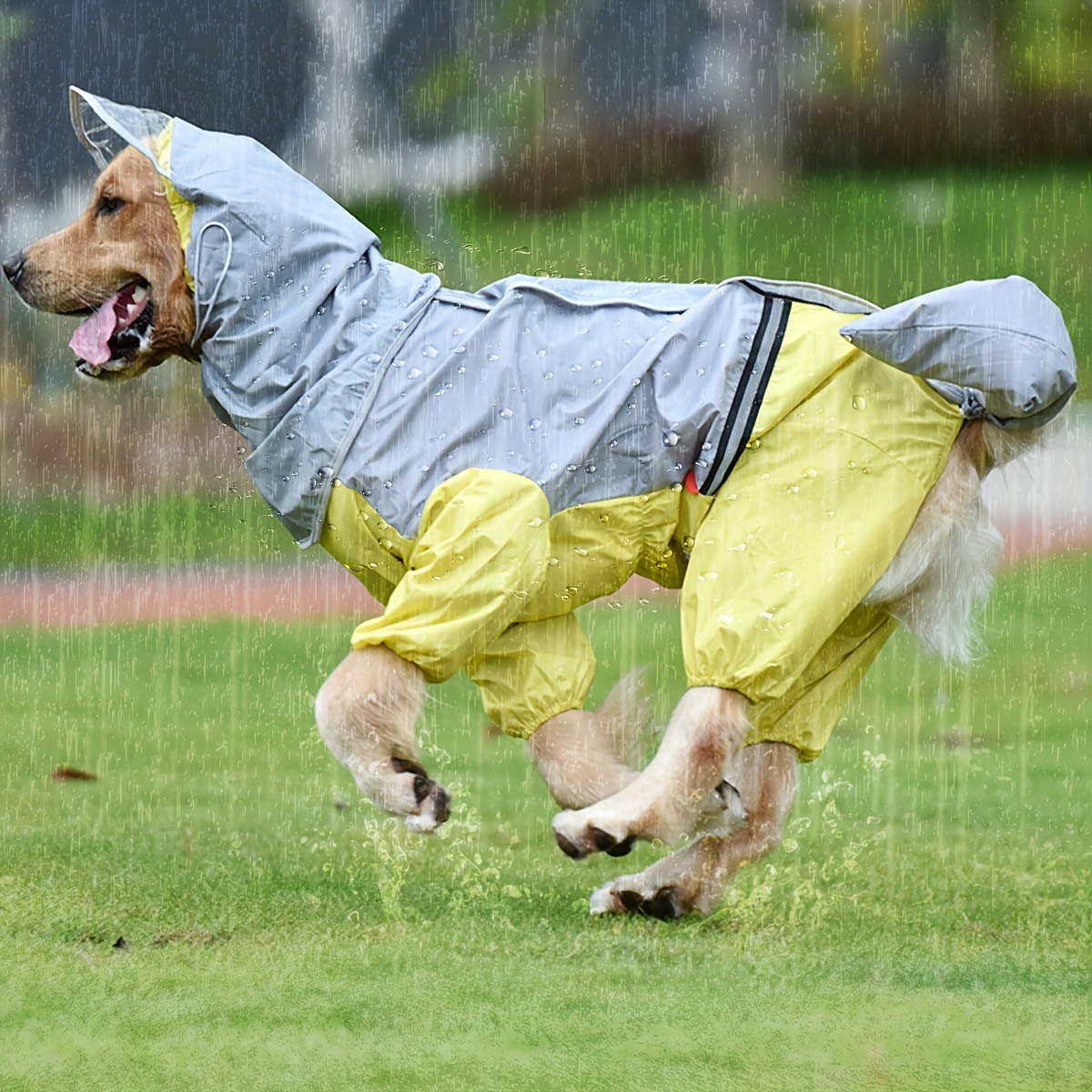 Raincoat with dogs on on sale it