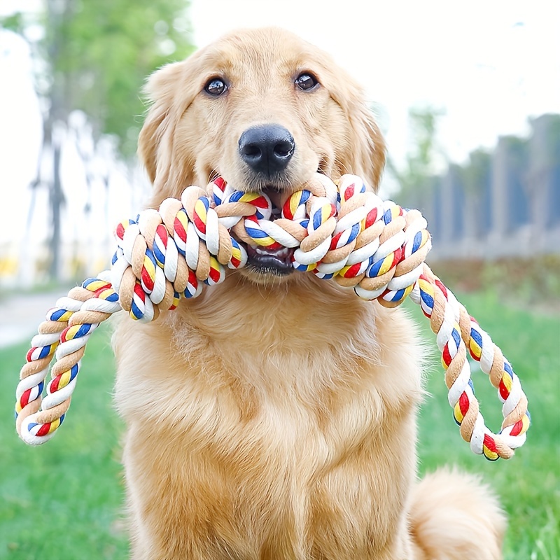 Dog Rope Toys Braided Puppy Grinding Pet Teeth Teething Toys Dental  Cleaning Product Dog Chew Toys