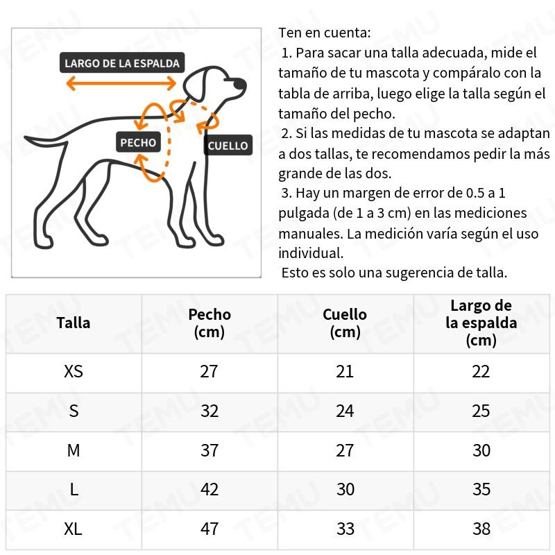 Pequeños Perros Lindos Que Se Sientan Entre Las Flores Amarillas