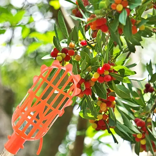 Recogedor de Frutas Telescópico Herramientas para Recoger Frutas Cerezas  Bayas Recolector Cosechador con Poste Ligero Ajustable y Bolsa para Naranja  Manzana Aguacates (Poste de 5 Pies): : Jardín