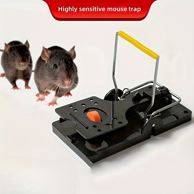 8Pcs Mouse Traps for House Small Mice Trap for Indoor Reusable Rat Traps  Snap Traps Quick Effective Safe for Family and Pet - AliExpress
