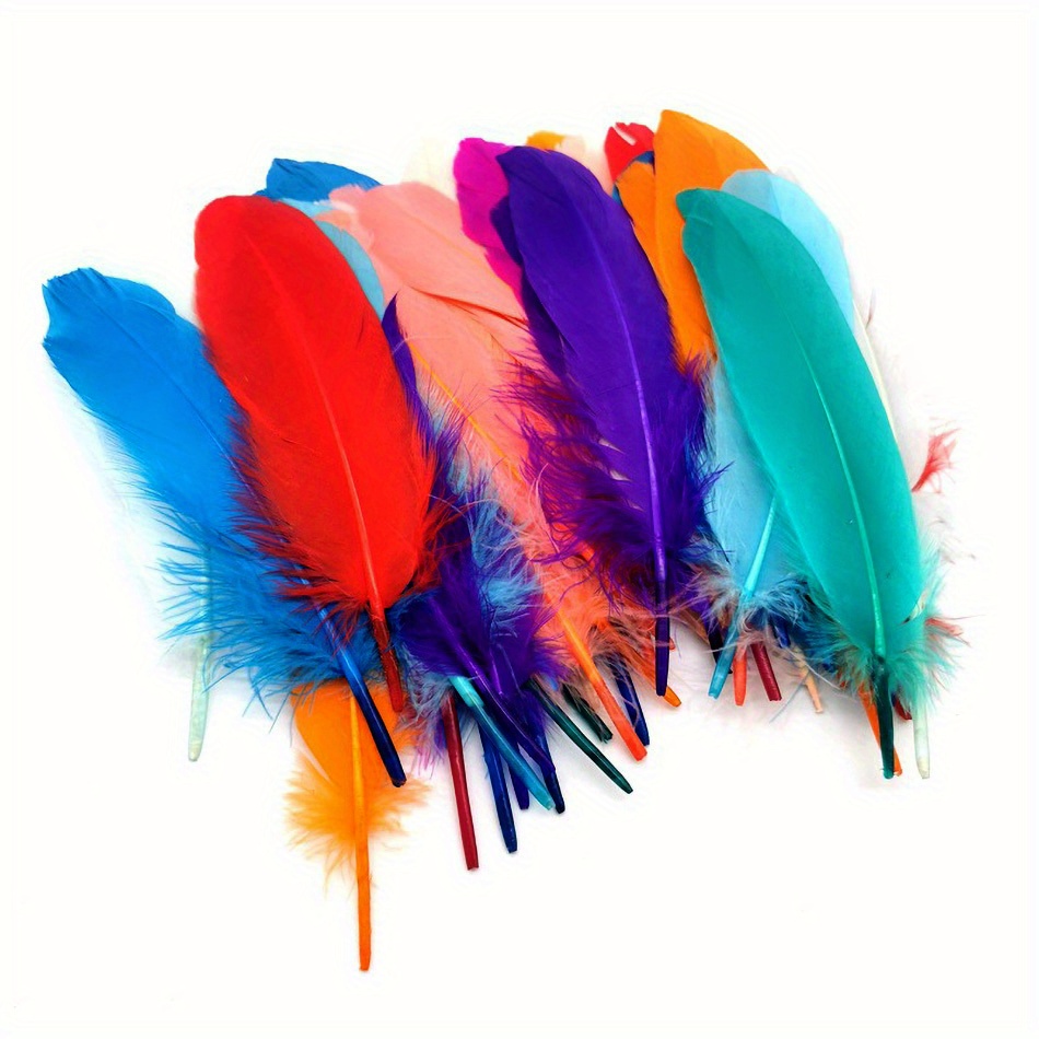 250 plumas negras para manualidades, plumas de ganso, atrapasueños,  fiestas, pasteles, Halloween, decoraciones de Pascua