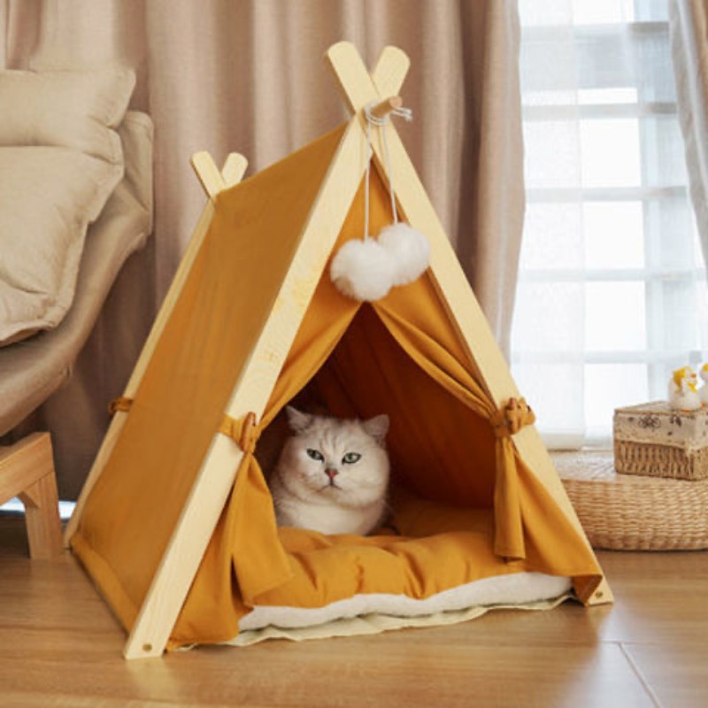 Cat tents for sales sale