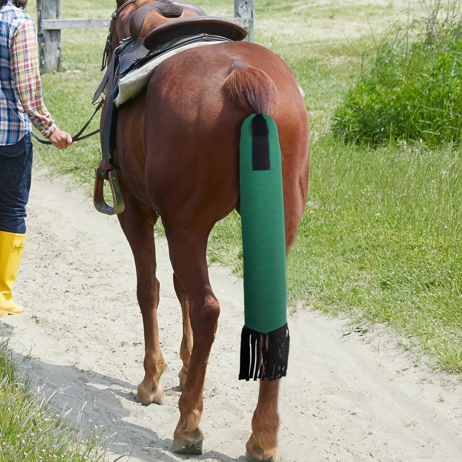 Cowboy Cheval Équitation Équine Amure Outil Dans Le Cadre De