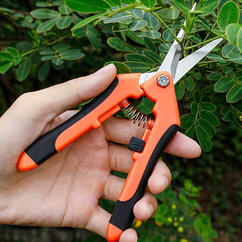 El Cuchillo Injertador es una herramienta durable de alta calidad para  injertar árboles frutales y plantas de huerto o jardín. Imprescindible para  agricultores. — Torotrac - Todo para tu Finca, granja o vivero