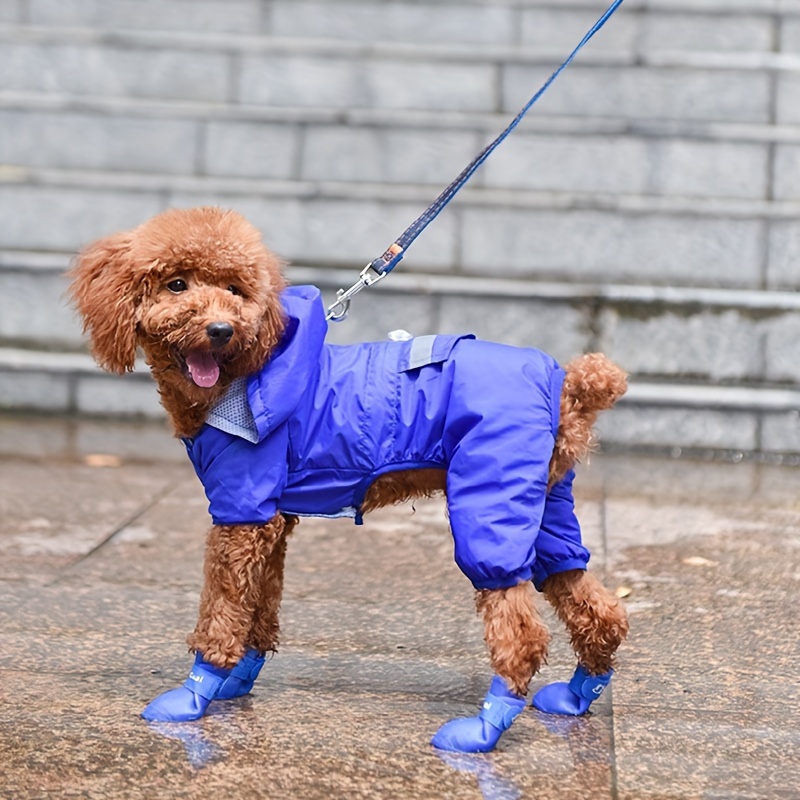 4pzas Zapatos Mascotas, Calcetines Cachorro Diseño Delfín, Botas Lluvia,  Diseño Impermeable, Silicona, Suministro Perros - Mascotas - Temu Chile