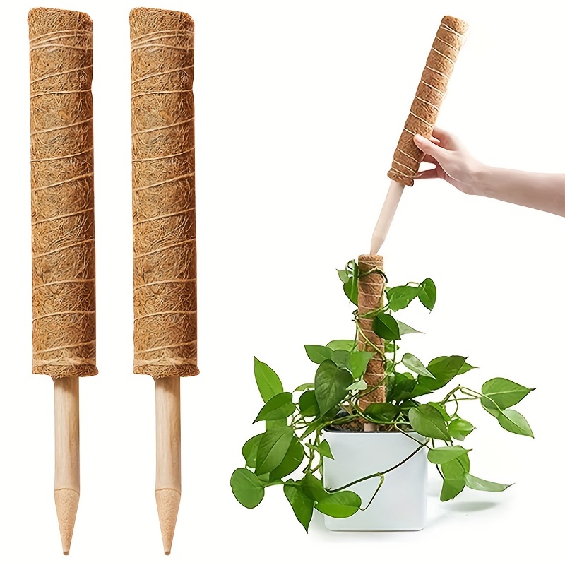 Plant Mesh Moss Pole Versatile DIY Moss Poles Plastic Moss Monstera Poles  Self-Watering Moss Sticks Plants Garden Accessories - AliExpress