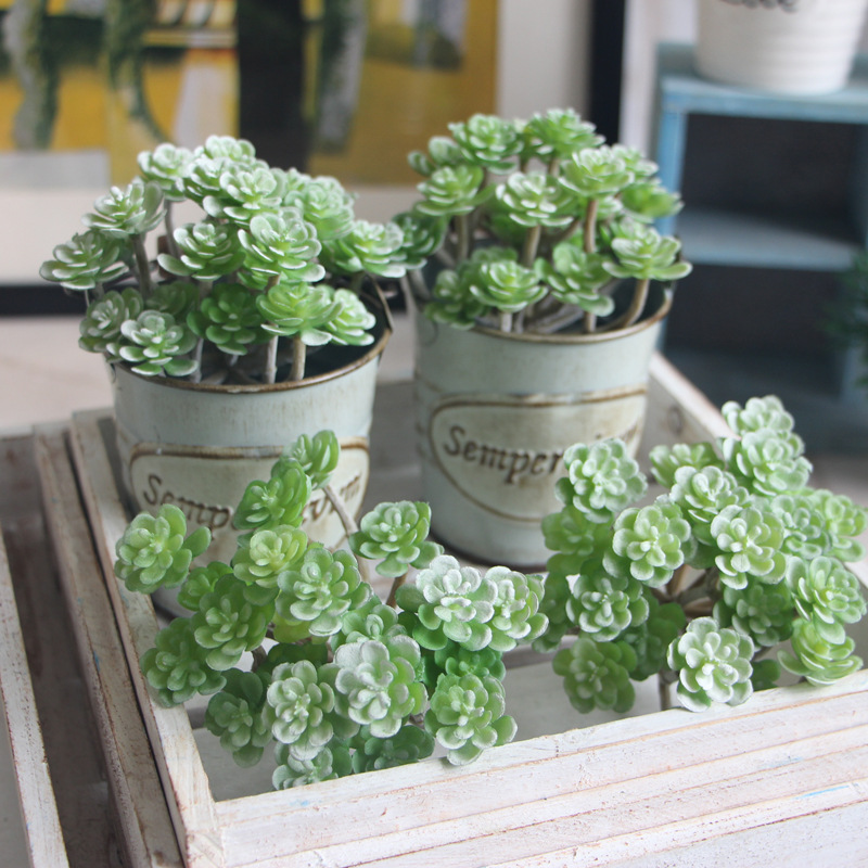 https://img.kwcdn.com/product/realistic-potted-greenery/d69d2f15w98k18-a6f88d0b/open/2022-11-02/1667401895535-09a08a7e96dd49798481c44220c912aa-goods.jpeg?imageView2/2/w/500/q/60/format/webp