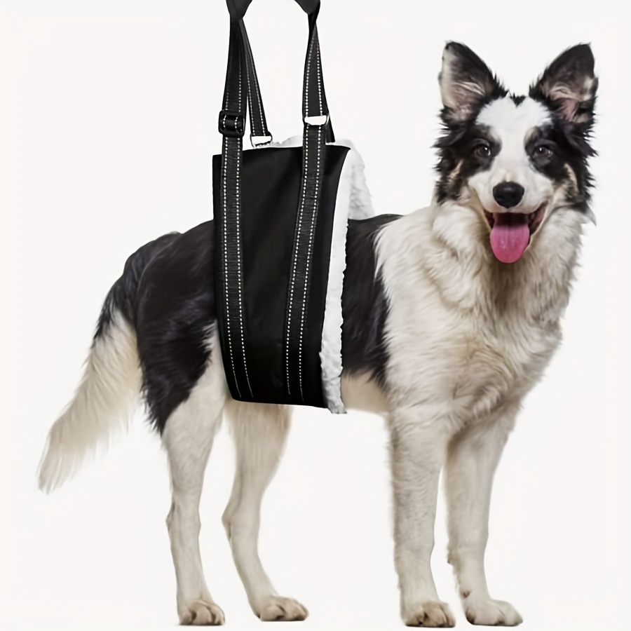 Diy dog lift clearance harness