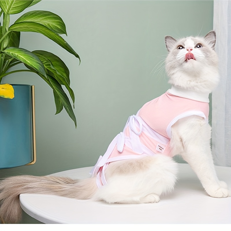 Medical shirt for clearance cats