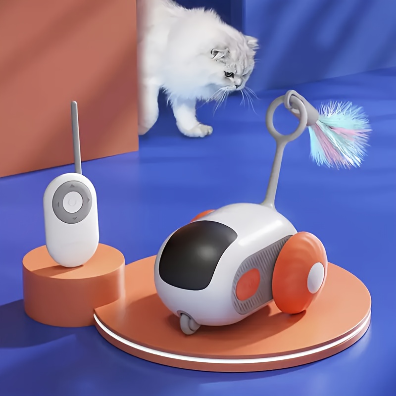 Remote Control Cat Toy - Temu Republic of Korea