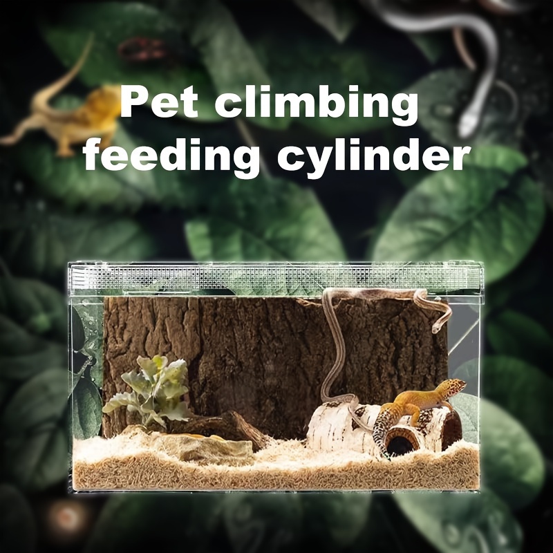 Bearded Lion Horned Frog Tree Frog Climbing Pet Reptile Cricket Breeding  Box Feeding Cage Portable Carrying Cage - Boxes - AliExpress