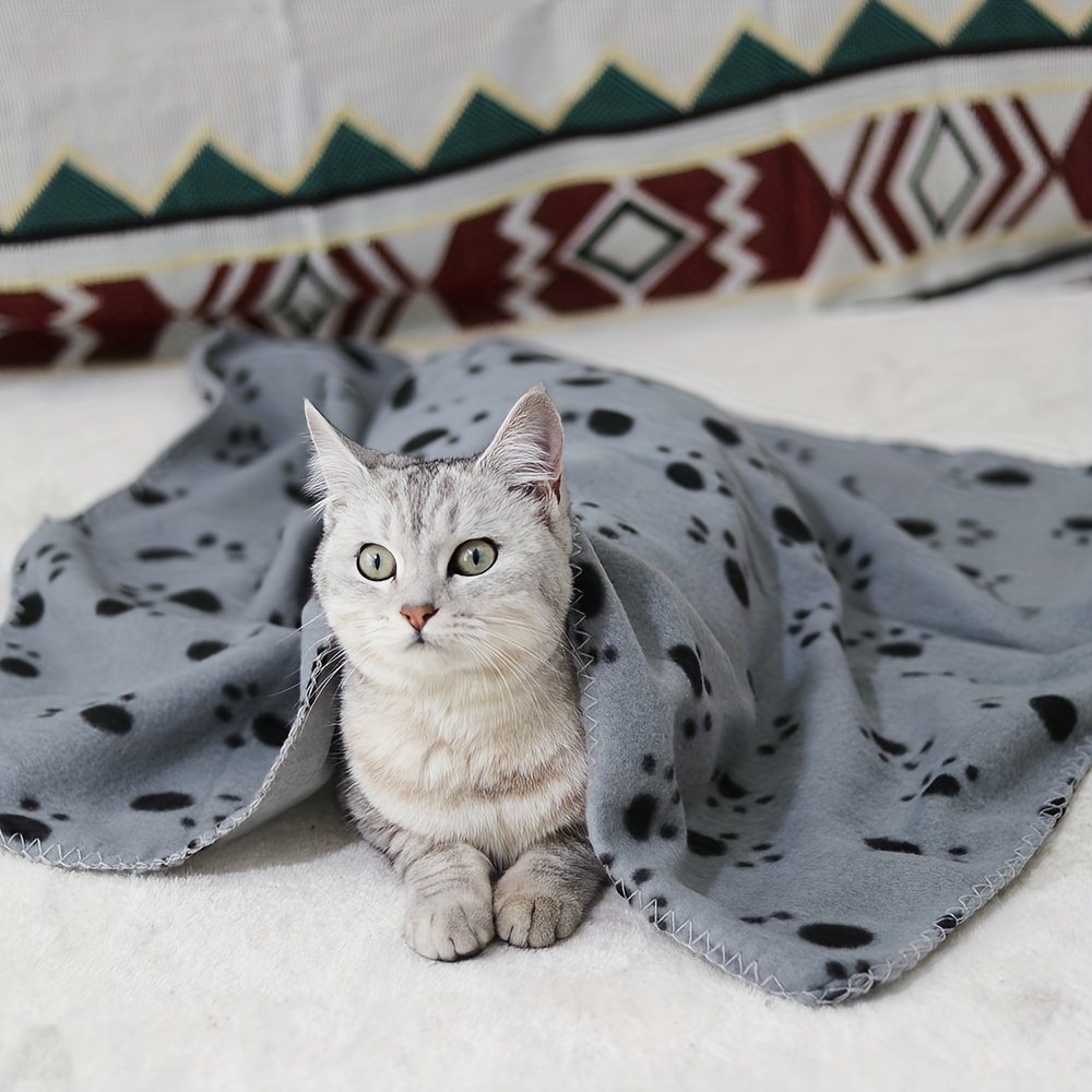 Fuzzy Cat Blankets - Temu