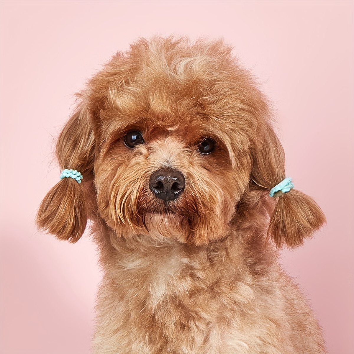 30 unidades: 15 pares de lazos para perros, bonitos lazos para el pelo de  cachorros con bandas de goma, lazos multicolor hechos a mano para mascotas