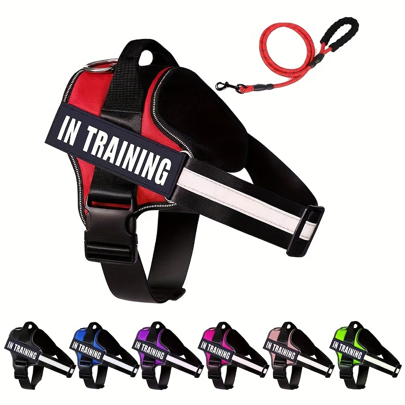 In Training Dog Harness - Temu