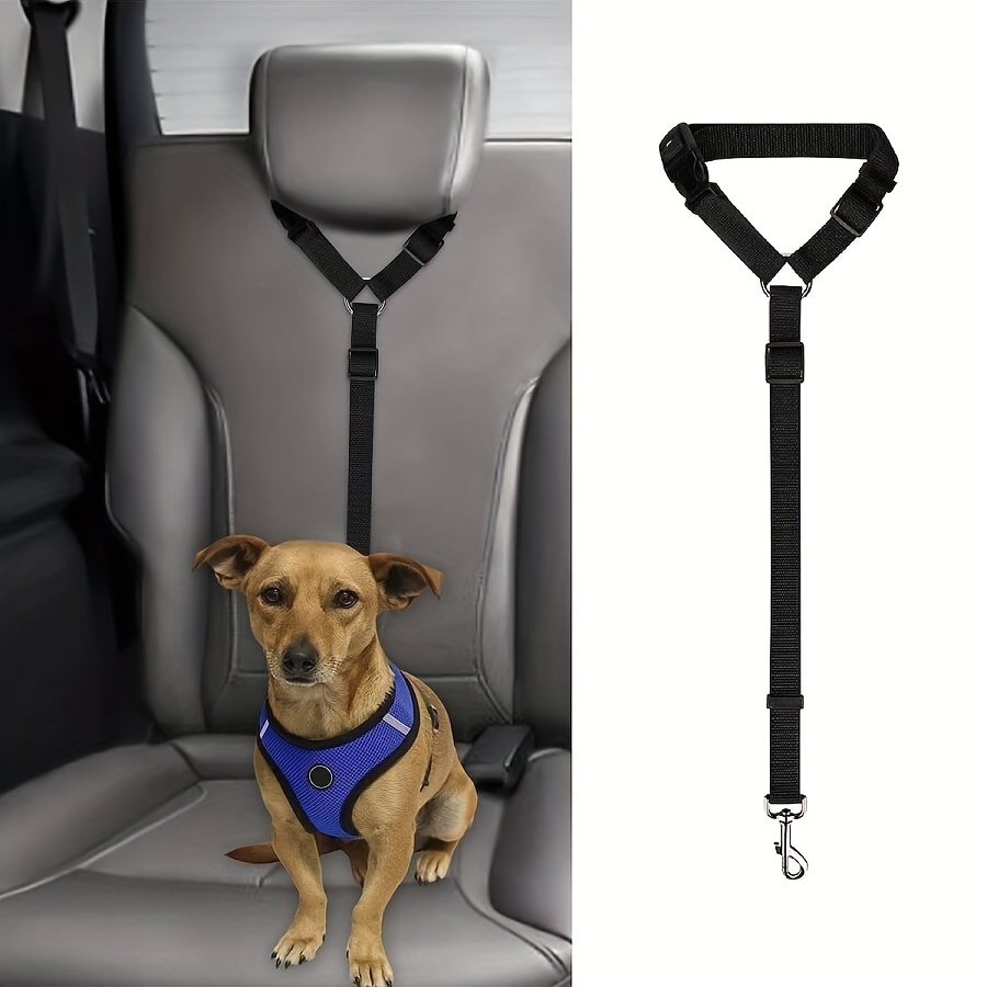 Un harnais pour sécuriser votre chien en voiture