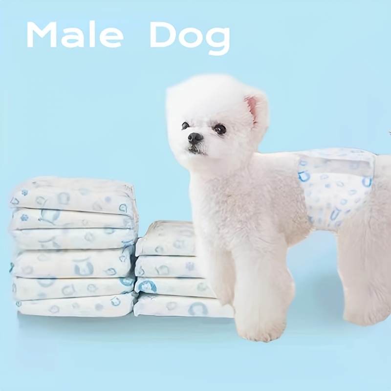 TODO MASCOTAS CR - ¡El primer pañal diseñado para perro macho en el país!  Si tu mascota acaba de pasar por una operación o tiene incontinencia  urinaria ¡Tenemos el producto ideal! Los