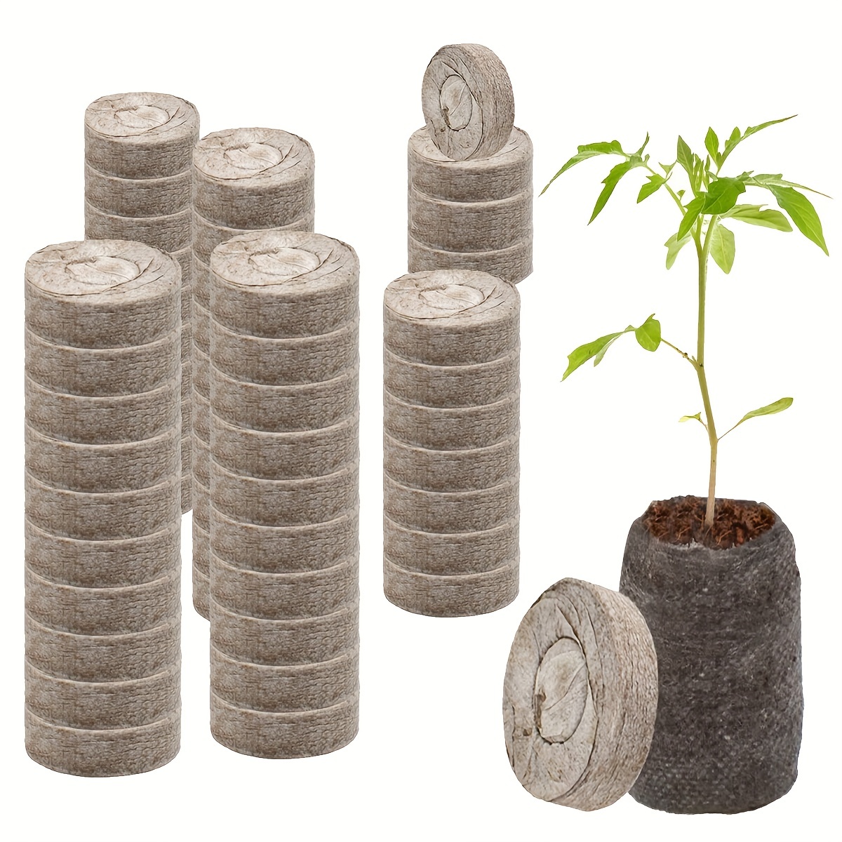 Succulent Terrarium Planter Kit, DIY Set with Soil, Pumice, Horticultural  Charcoal, Sphagnum Moss, Red Lava Rock