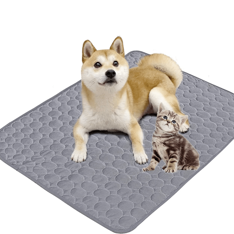 Rectangle Pet Cooling Mat – Pet Tone Official