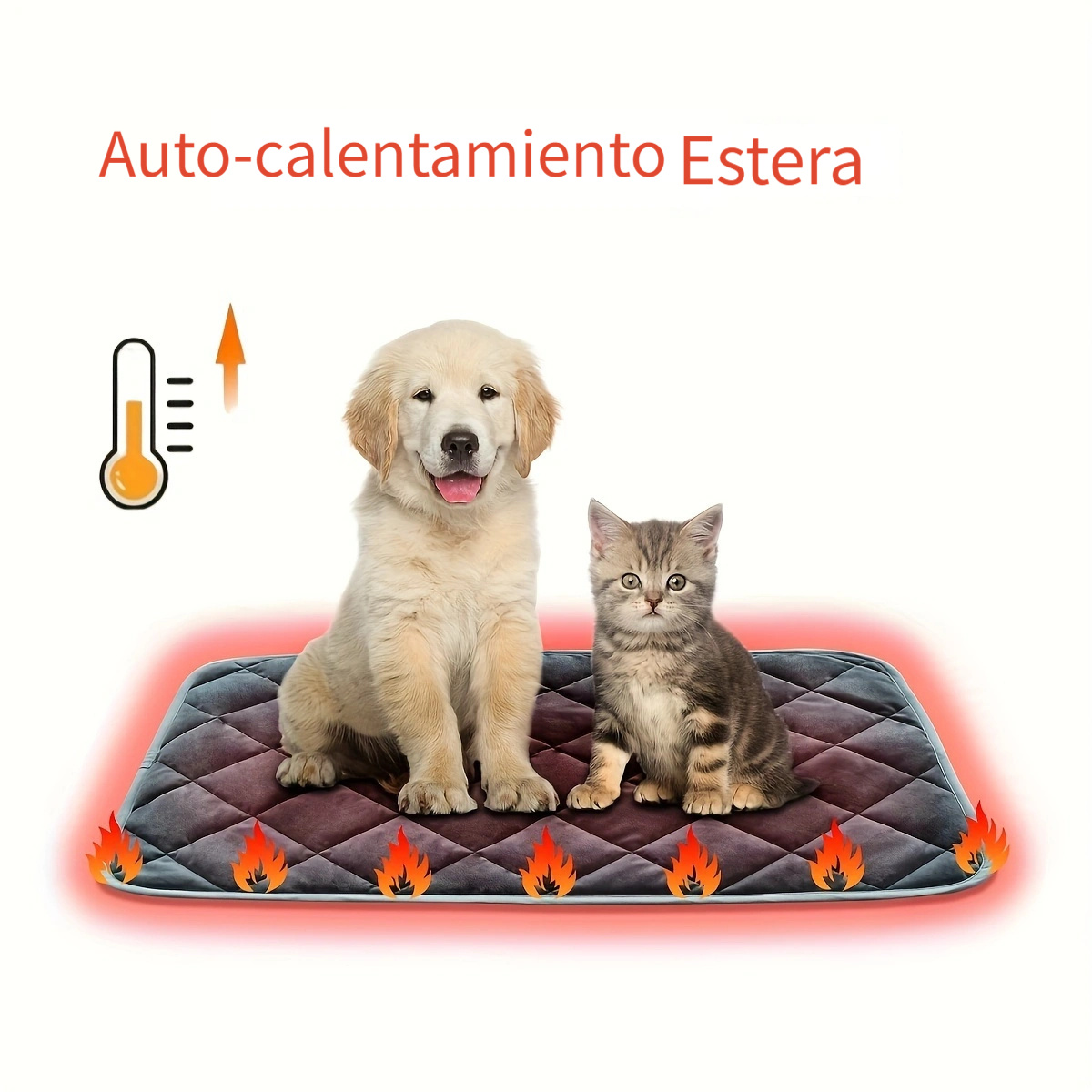 Cama discount calefactable perro