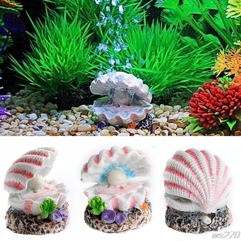 Ocean inspired Aquarium Decorations Natural Sea Shells - Temu