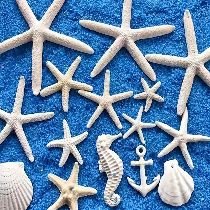  Estrella de mar de azúcar, estrella de mar grande de 4 a 6  pulgadas, estrella de mar, decoración de estrella de mar, decoración de  acuario, decoración de pecera, estrellas de mar
