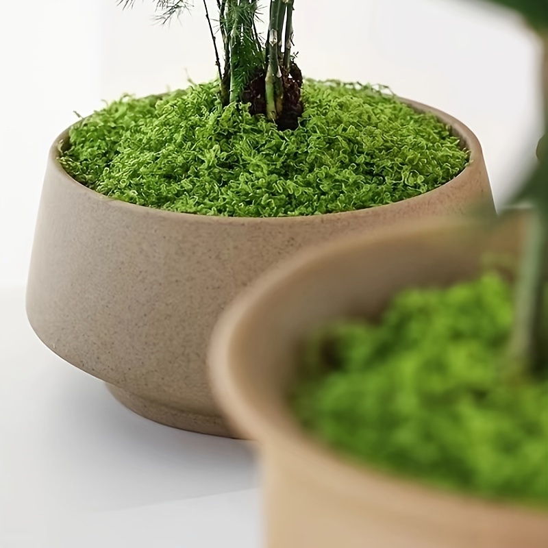 Mousse artificielle pour plantes en pot, fausse mousse pour plantes  artificielles, fausse mousse verte pour décoration d'intérieur