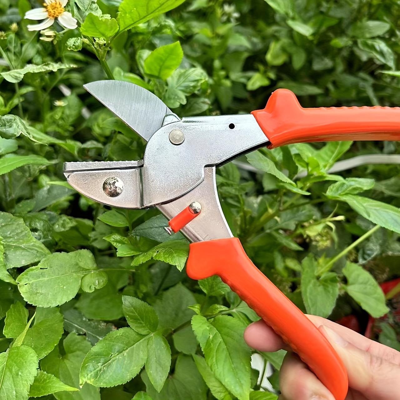  Juego de 3 tijeras de podar de jardín con cuchillas de acero  inoxidable y guantes de jardinería : Patio, Césped y Jardín