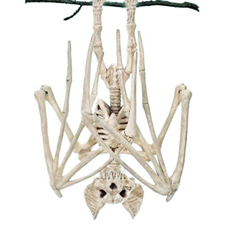 LUTER 12stk Mini-Skelett-Figuren für Dekoration, 14cm Skelette Halloween  Mini-Skelettmodell Miniatur-Skelettfiguren zum Basteln von Spukhaus-Zubehör  Partygeschenken : : Küche, Haushalt & Wohnen