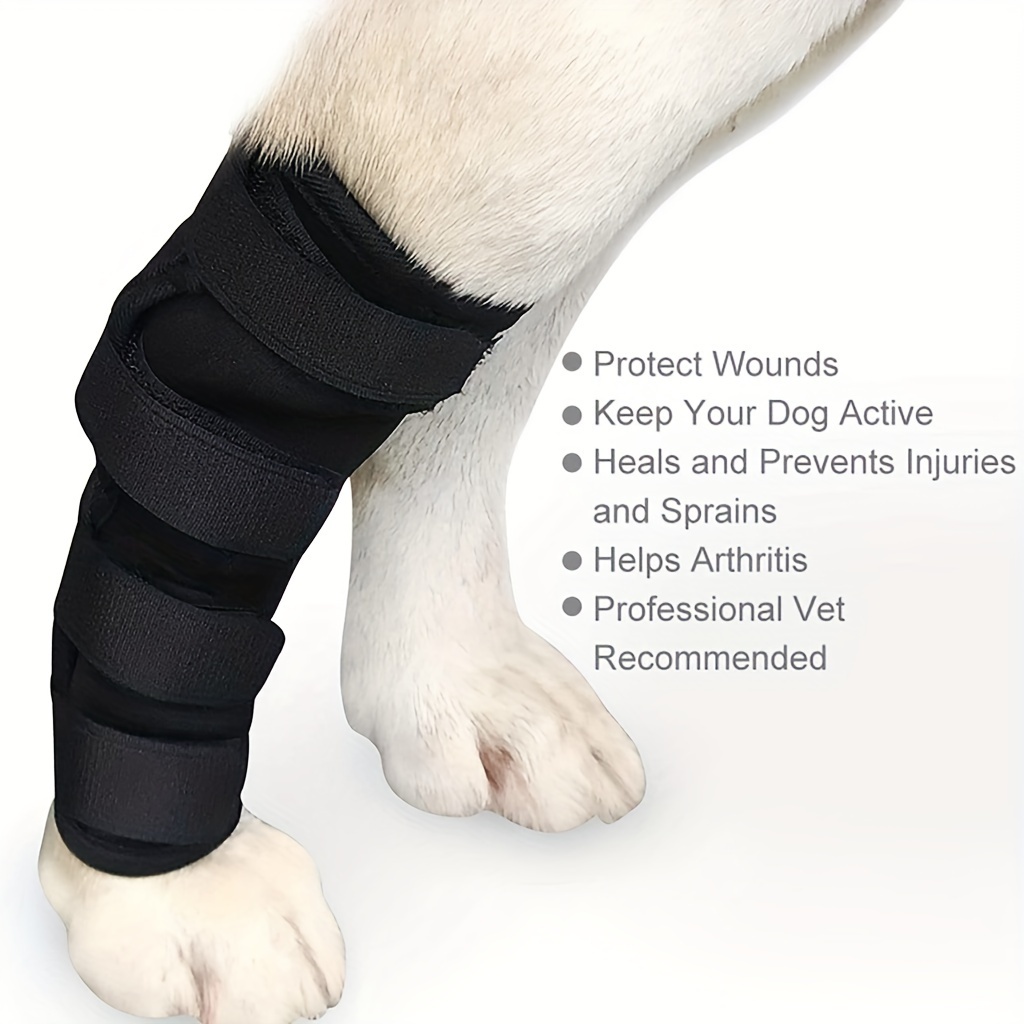 Petsmart store knee brace