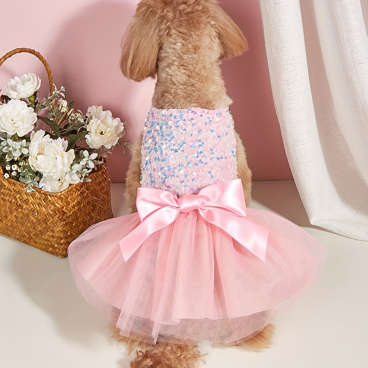 Dog party outlet dresses